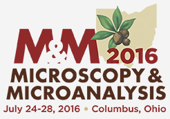 2016-Microscopy-n-Microanalysis