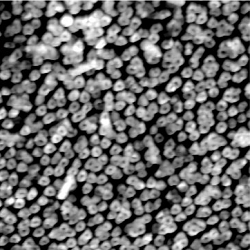 Nanostructures on polymer