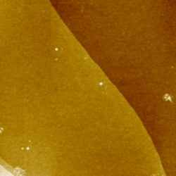 ExFoliated graphene on SiO₂/Si wafer