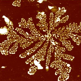 Fractals of silver nanoparticles