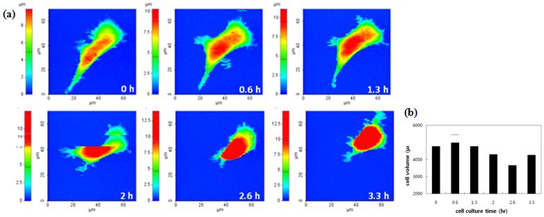 15-live-cell-volume-measurement-of-SICM-1