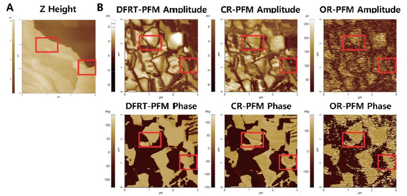 app107_fig003.JPG