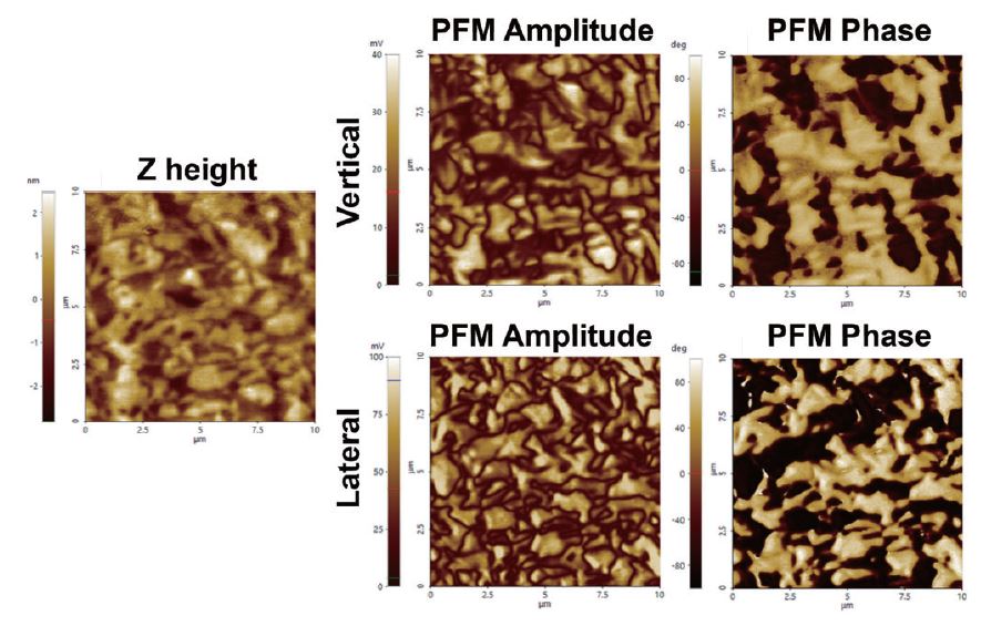 app107_fig005.JPG