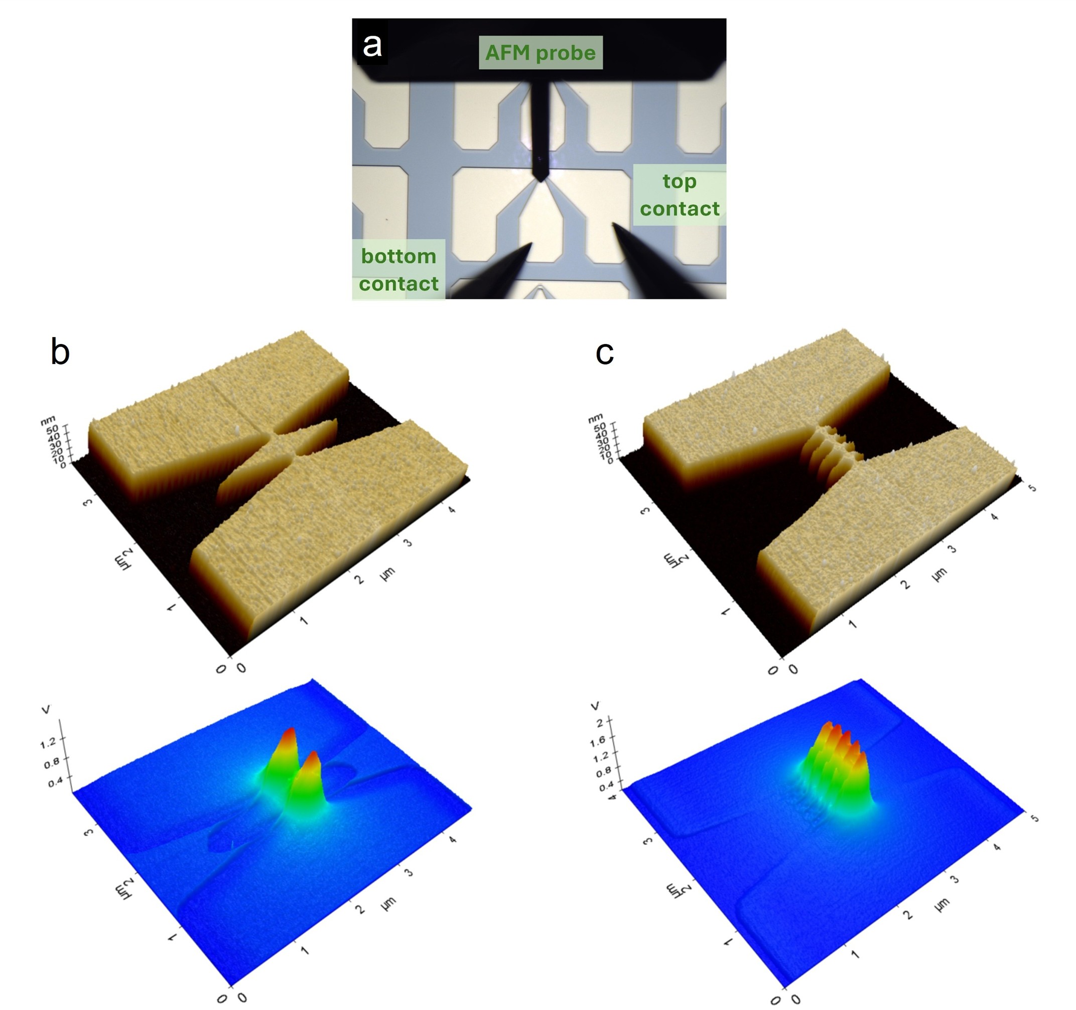 app110_figure06.jpg