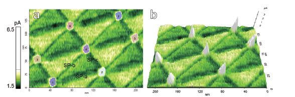 app99_fig12.JPG