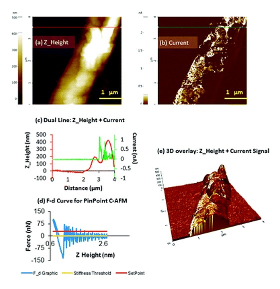 Publications22_Silver_DNA_Nanowires_Cytosine_AgI_Base_Pairs.jpg