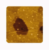 Floating monolayer of ethylstearate, field of view 400 x 400 um