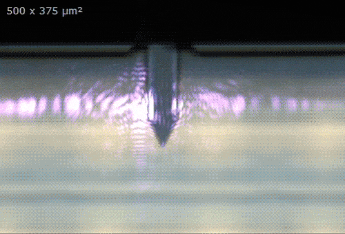 scan-area-gif