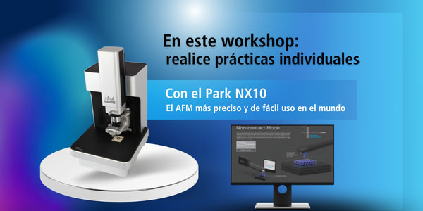 AFM workshop mexico02