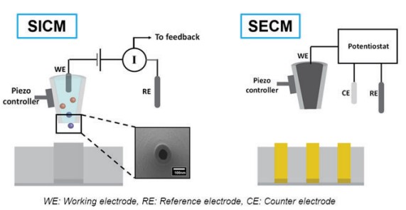 Schematic views of SICM and SECM
