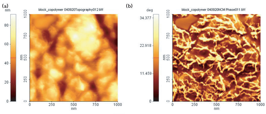 spm-phase-imaging-detection-microscopy-pdm-afm-f2